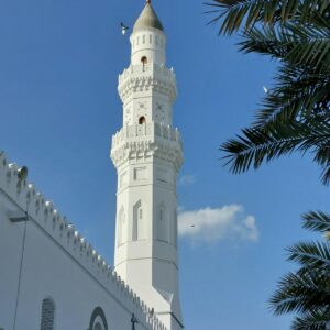 pexels-mohamed-elhaddad-456990798-15856480