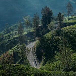 aldri-suganda-VbU9cVZ5Dh4-unsplash