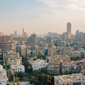 pexels-marius-mann-772581-33021028